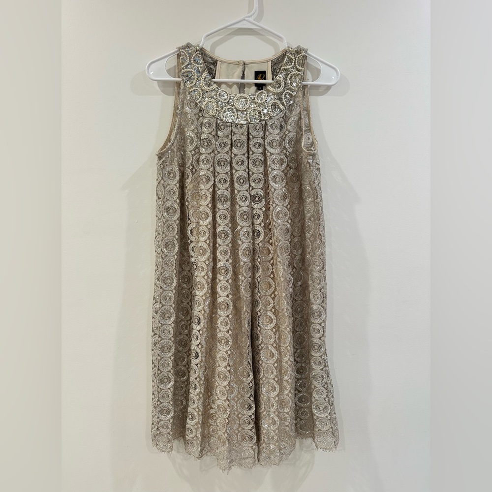 Lovely Metallic Lace Party Dress